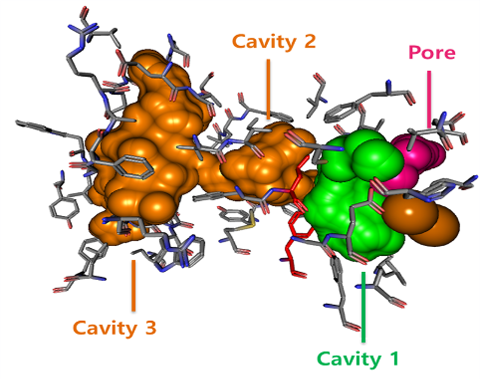 Elucidation of the soluble methane monooxygenase mechanism 대표이미지